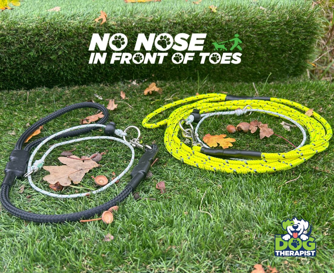 Dog leashes on grass with &