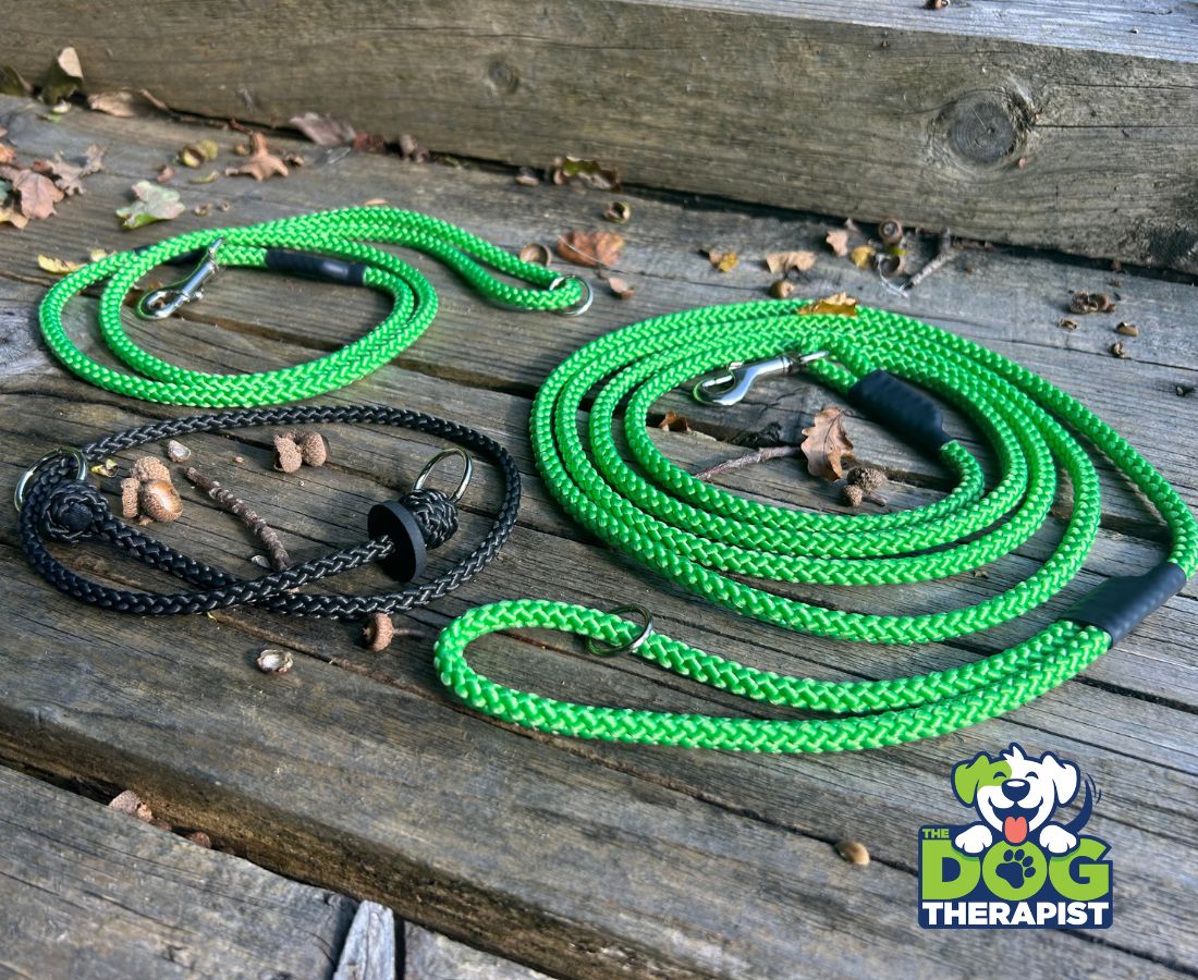 Lime green dog training clip leads with black slip collars | The Dog Therapist