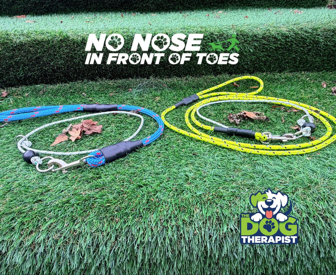 Two dog leashes, one blue and one yellow, on grass with &