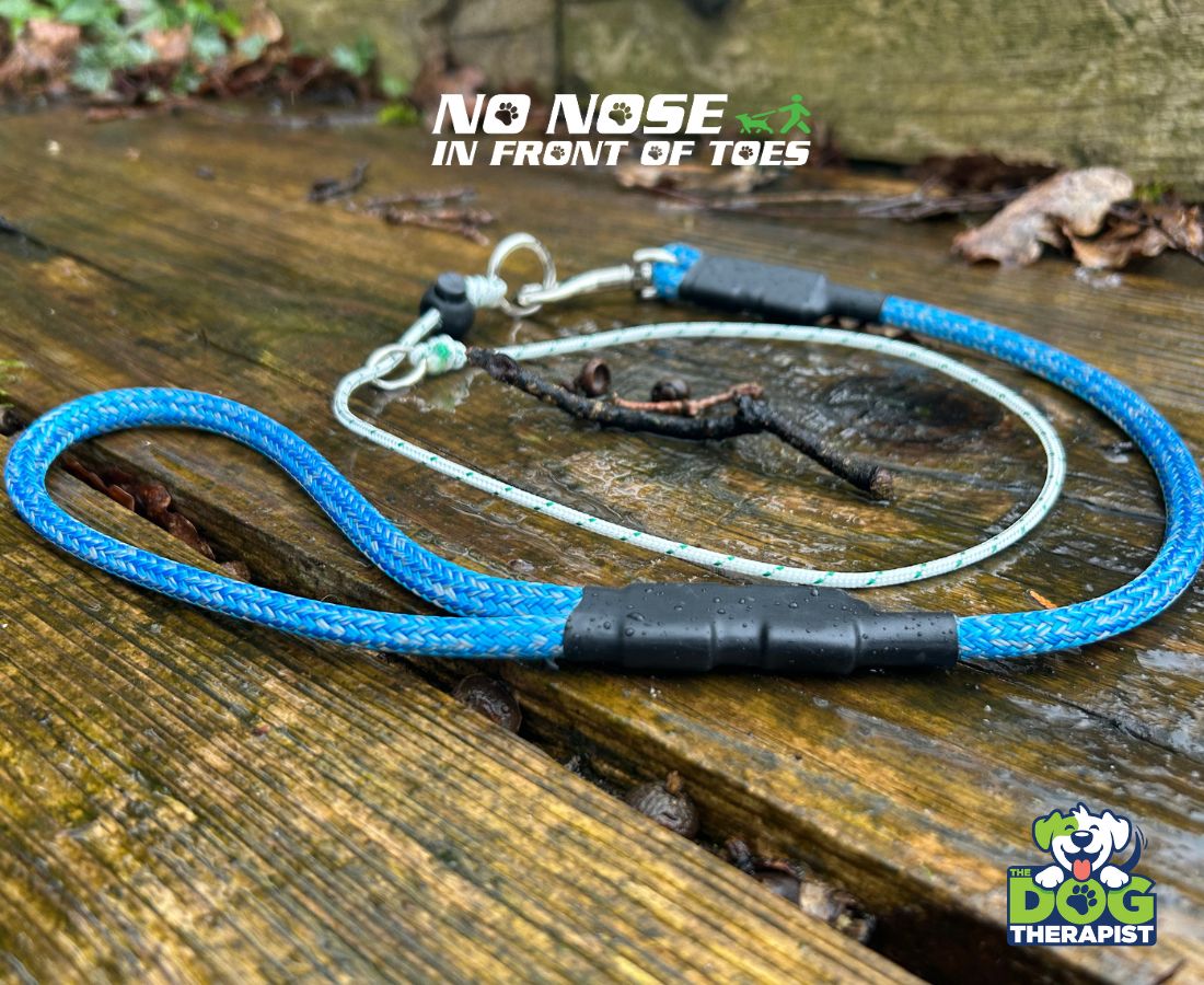 Blue Adjuster Dog Lead No Nose In Front Of Toes | The Dog Therapist