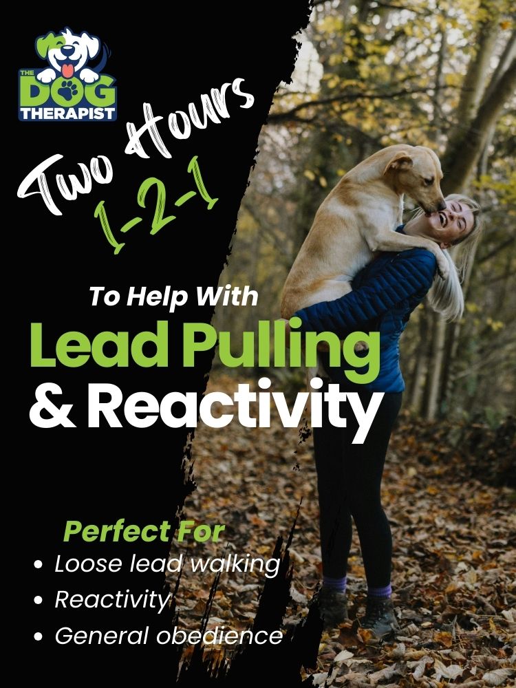 A blonde haired lady holding a yellow Labrador in her arms with text overlay