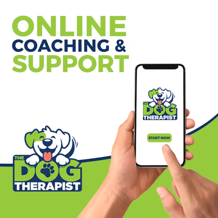 Promotional graphic for 'The Dog Therapist' showing a hand holding a smartphone with the app logo and a green 'Start Now' button on screen, alongside large text reading 'Online Coaching & Support' and the Dog Therapist logo.