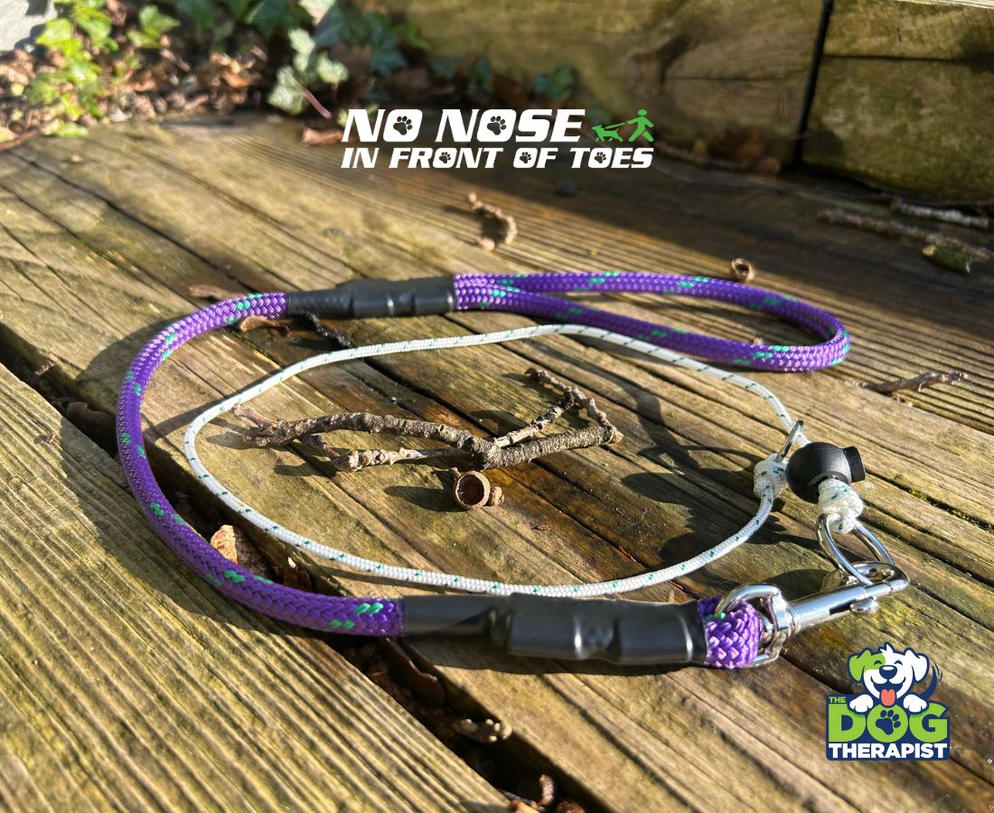 Purple Adjuster Dog Lead with No Nose In Front Of Toes slip collar | The Dog Therapist