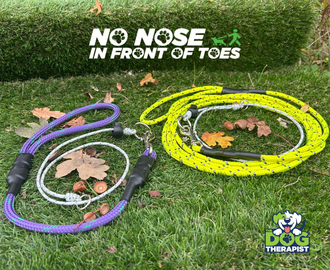 Two dog training noose products on grass with &