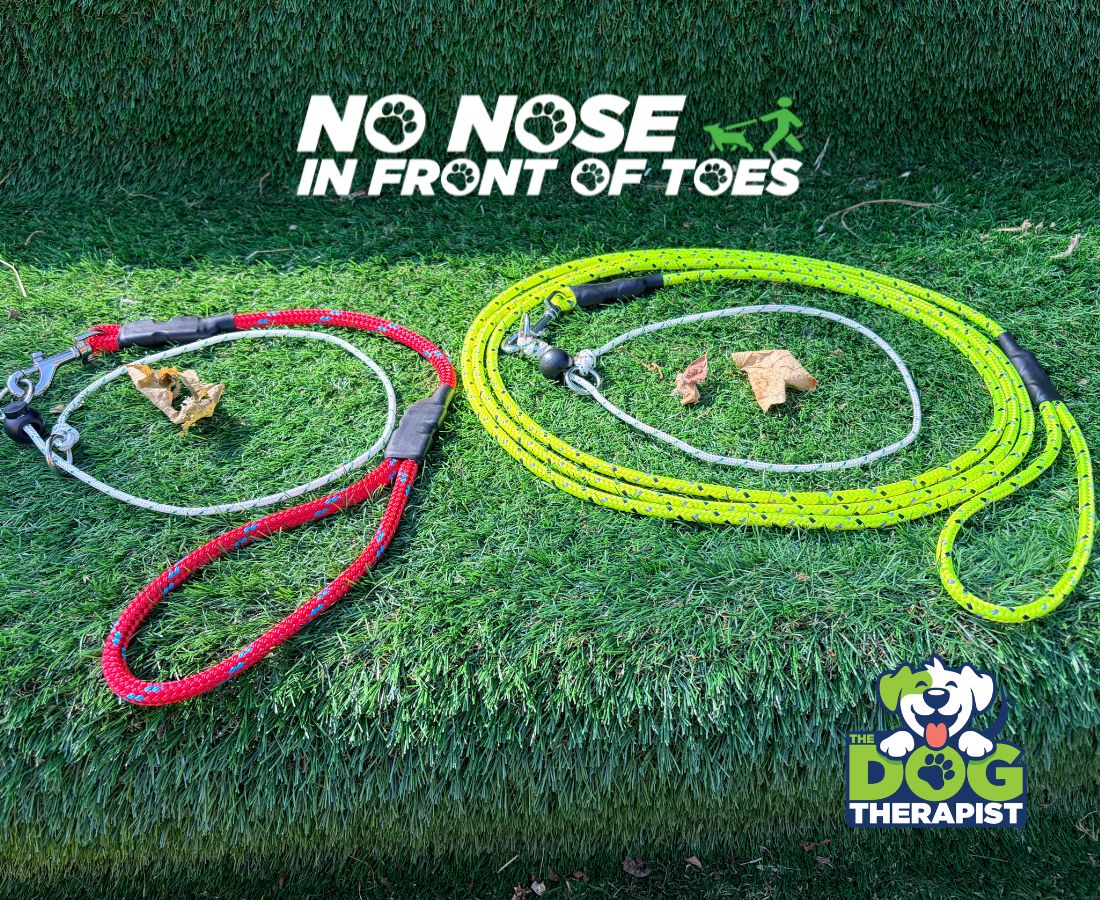 Two dog leash training collars displayed on artificial grass: one red and one neon yellow-green. The text &