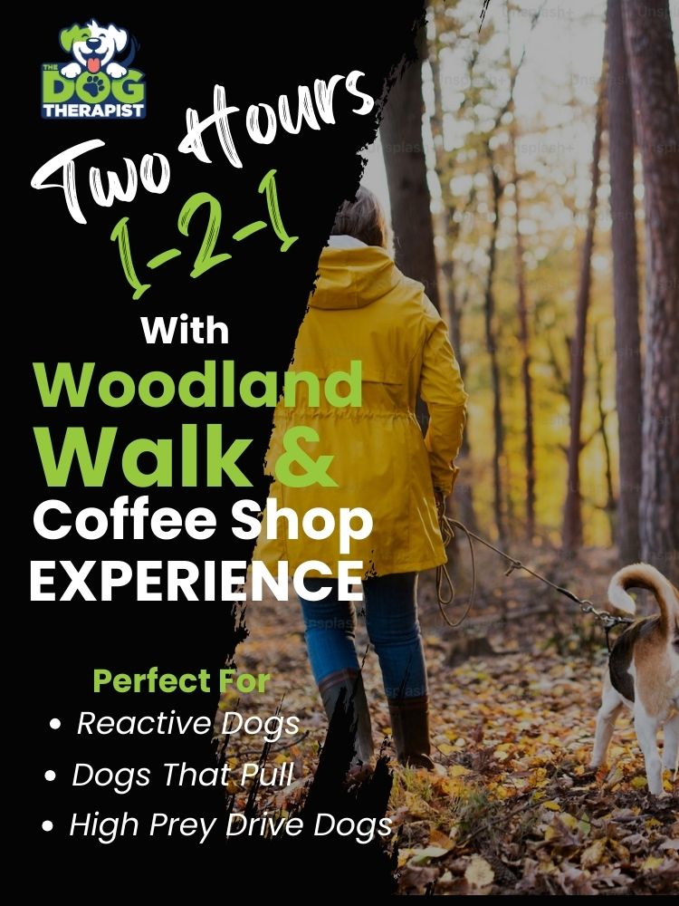 Lady wearing a yellow jacket taking a dog for a walk in the woods