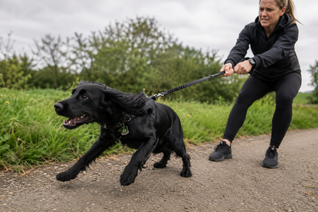 A woman in a black athletic outfit pulls a black dog on a leash along a dirt path outdoors, with grass and trees in the background.
