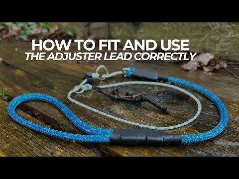 The Adjuster Dog Lead
