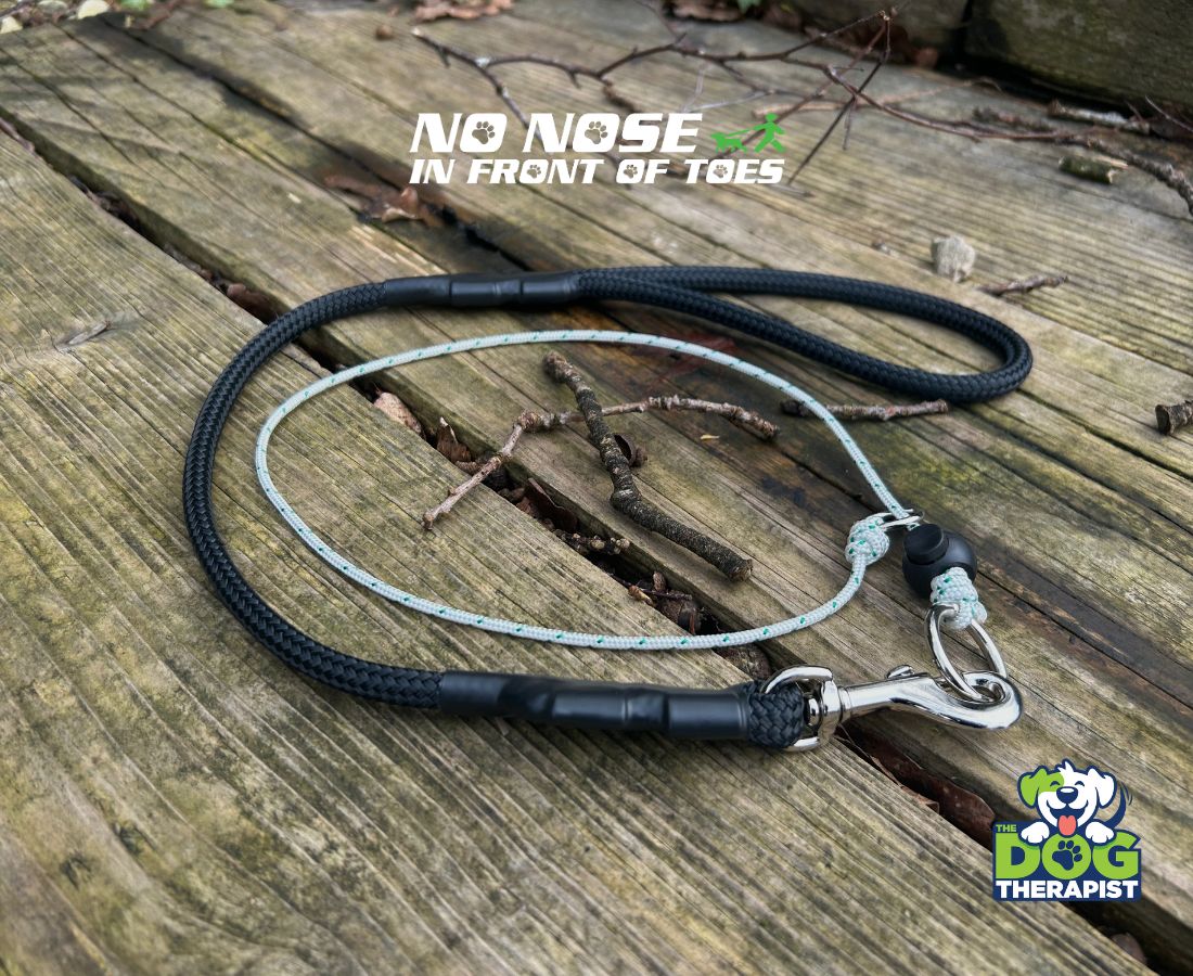 Black Adjuster Dog Lead with No Nose In Front Of Toes slip collar | The Dog Therapist