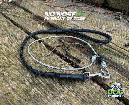 Black Adjuster Dog Lead with No Nose In Front Of Toes slip collar | The Dog Therapist