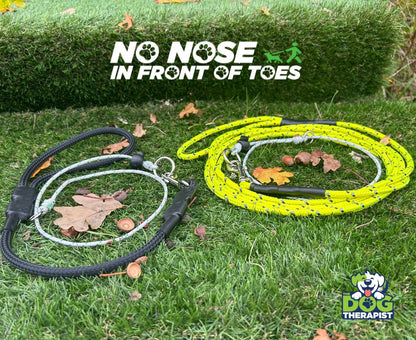 Dog leashes on grass with &