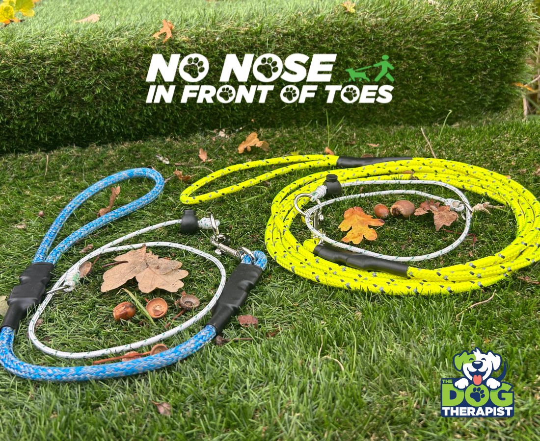 Two dog leashes, one blue and one yellow, on grass with &