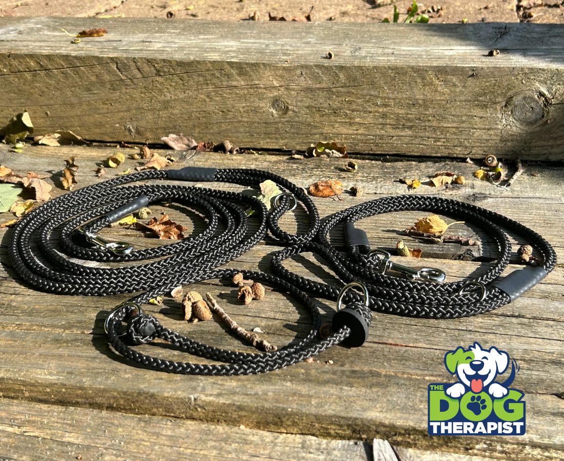 Black dog training clip leads with black slip collars | The Dog Therapist 