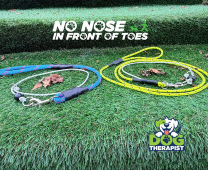 Two dog leashes, one blue and one yellow, on grass with &