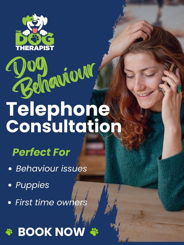 A lady with red hair holding a telephone to her ear | The Dog Therapist