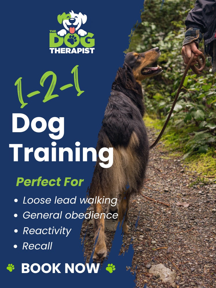 Dog training