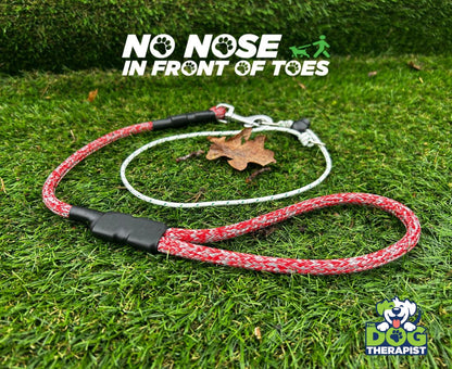 Dog leash on grass with &