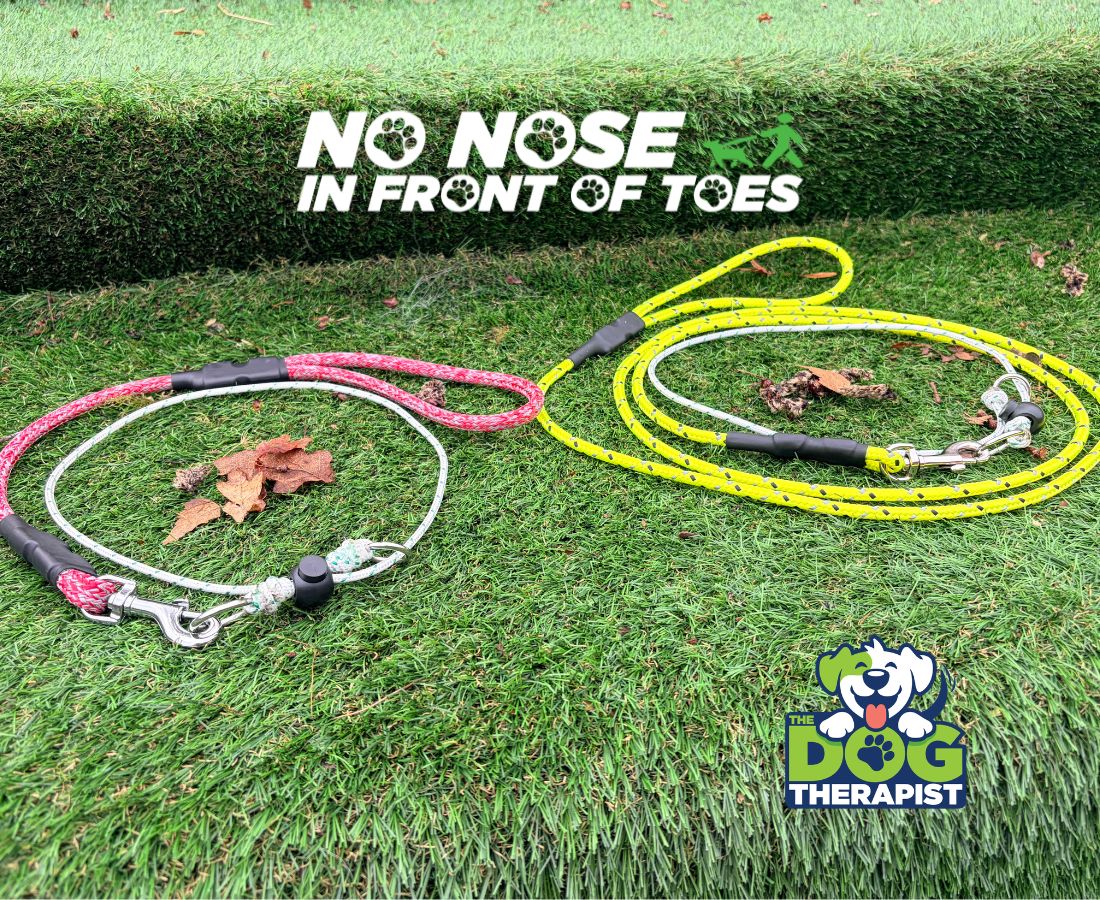 Two dog leashes, one blue and one yellow, on grass with &
