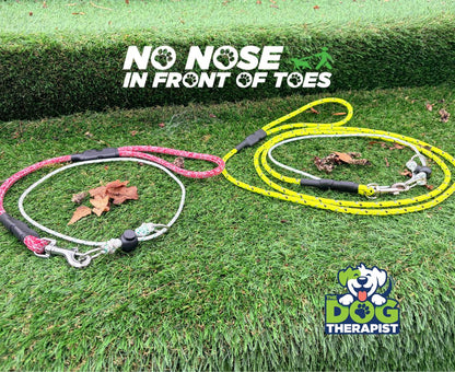 Two dog leashes, one blue and one yellow, on grass with &