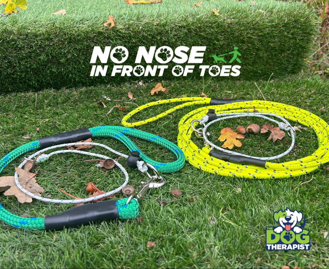 Dog leashes on grass with &