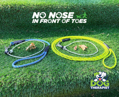 Two dog training leashes laid out on green grass: one blue and one neon yellow. White text at the top reads &