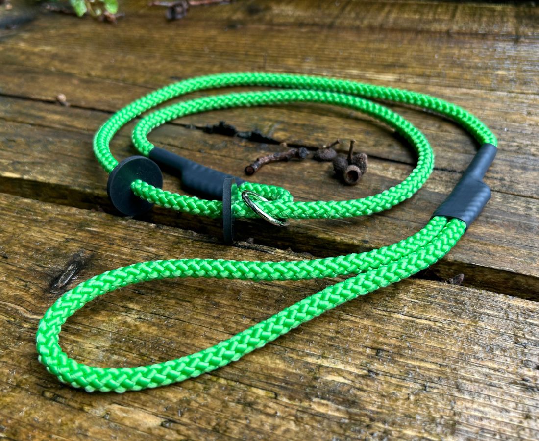 Fashion rope slip lead