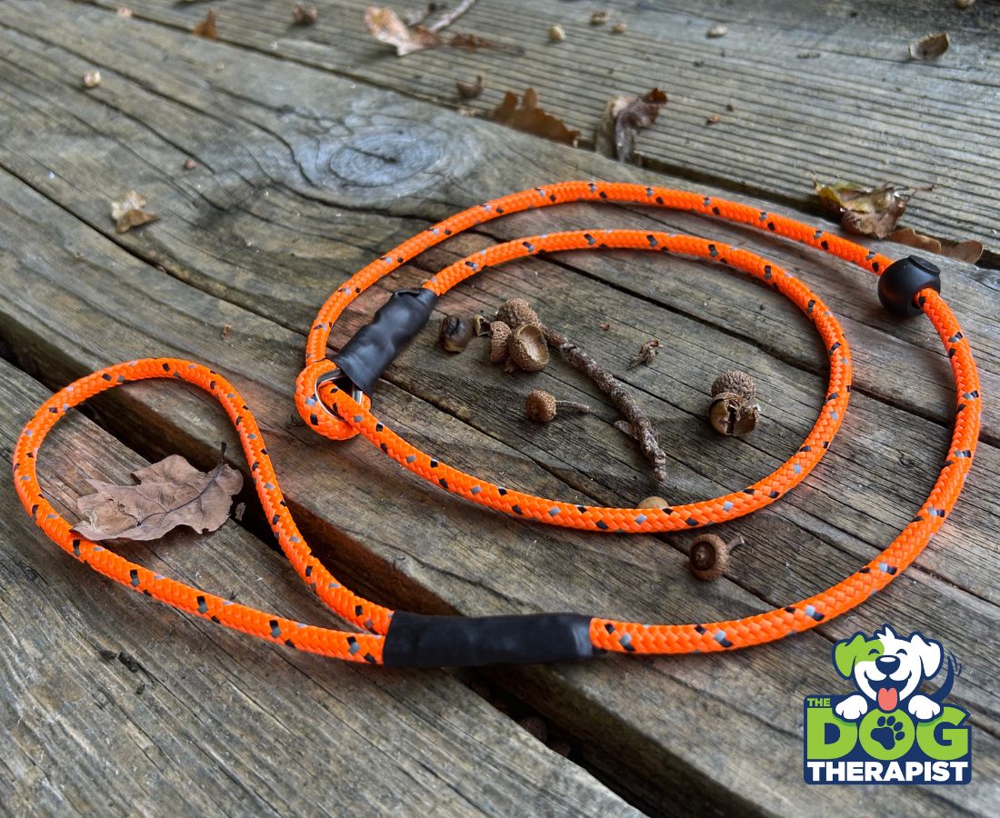 Orange slip lead with black stopper | The Dog Therapist