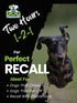 Advertisement for &