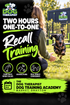 Two hour one-to-one dog recall training at The Dog Therapist Dog Training Academy in Market Drayton, Shropshire, with a dog running back to its handler.