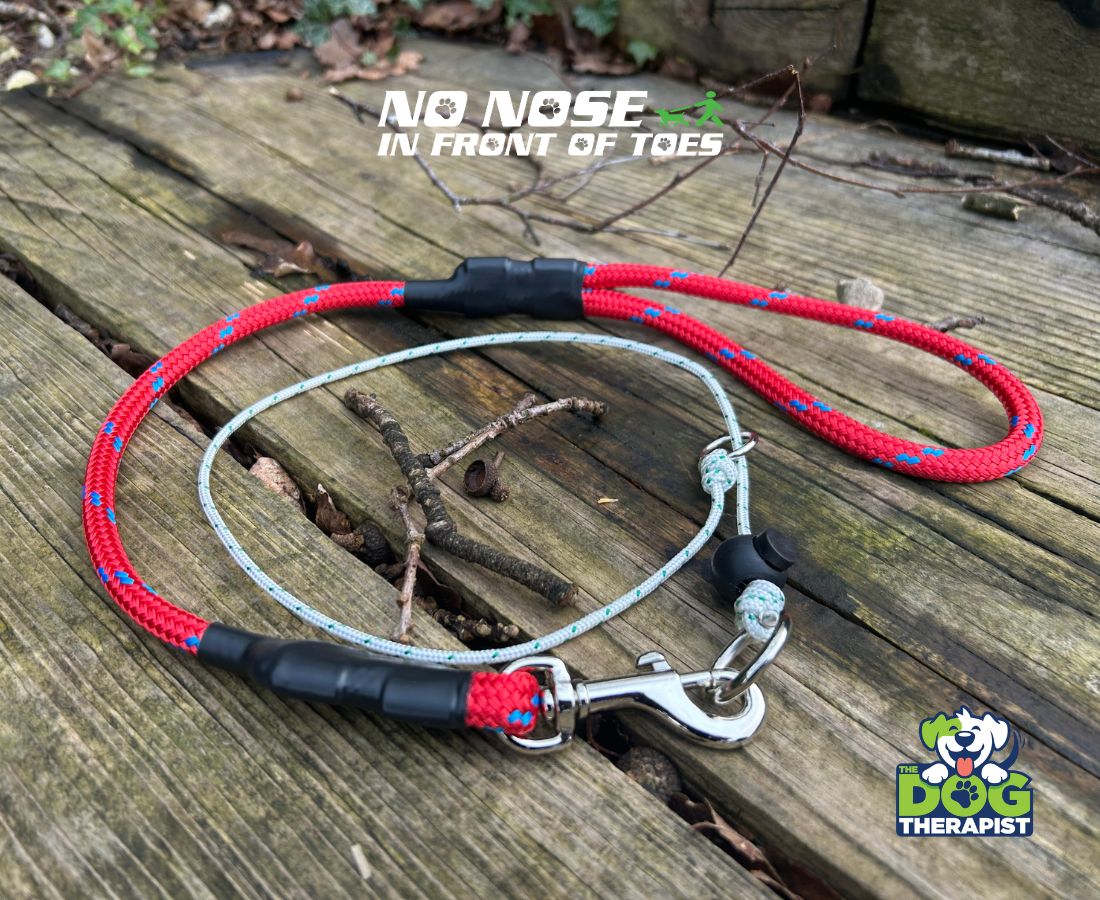 Red Adjuster Dog Lead with No Nose In Front Of Toes slip collar | The Dog Therapist