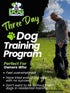 A man wearing a grey t shirt training a small black dog