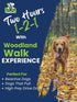 Golden Retriever running in the woods | The Dog Therapist
