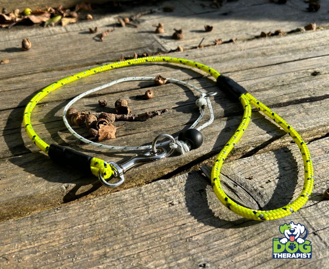 Yellow rope dog slip lead with clip and toggle | The Dog Therapist