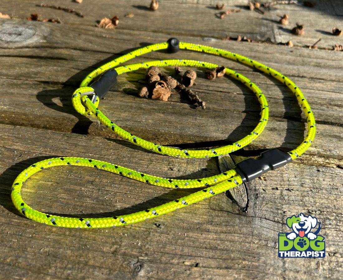 Yellow rope slip lead with black ferrules designed for spaniels | The Dog Therapist