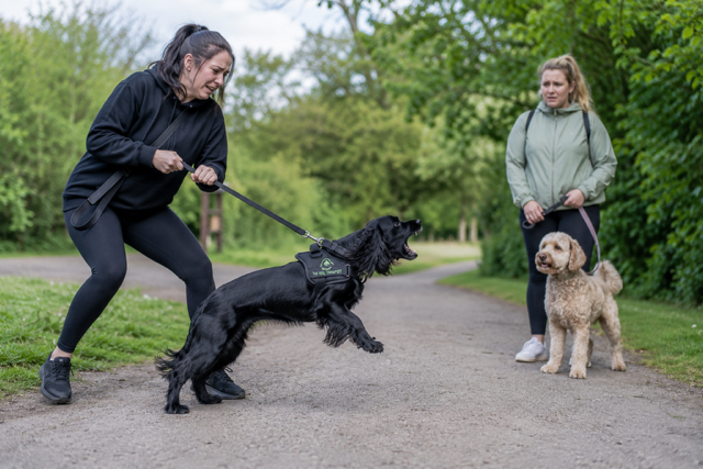 A woman in a black outfit holds a leash attached to a black dog wearing a harness on a park path, while another woman in a light green jacket stands nearby holding a leash with a tan dog. Trees and grass are visible in the background.